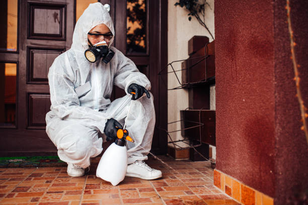 Attic and Crawl Space Rodent Treatment in Detroit Beach